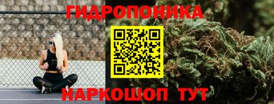 прущие крисы Изобильный
