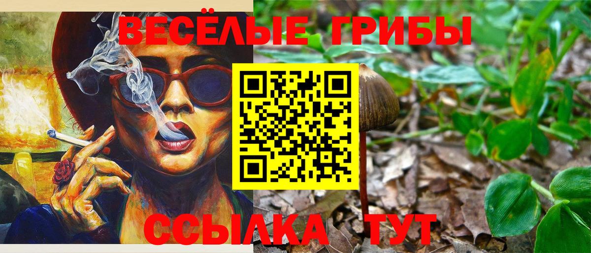 Галлюциногенные грибы Cubensis  Вход с VPN  где купить наркотик  Казань 